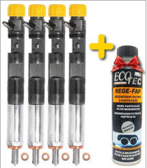 4x Injecteur d'origine Delphi Renault Kangoo 1.5 dci EJB EJBR01801A